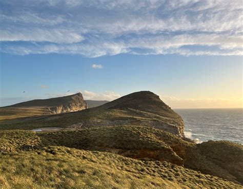 Projects - Falklands Conservation