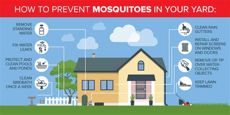 Breeding Grounds For Mosquitoes Near Your Home Presto X In Louisiana