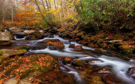 Smoky Mountain Autumn Desktop Wallpapers On Wallpaperdog