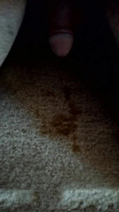 Pissing On My Bedroom Carpet Gay Amateur Amateur Porn XHamster