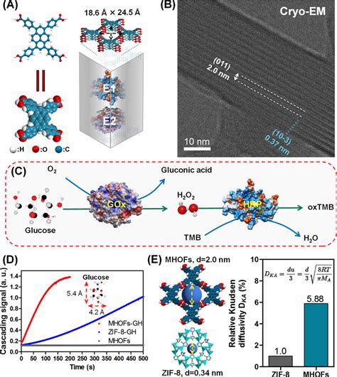 A Structural Illustration Of The MHOF Cascades Nanoreactor B CryoEM