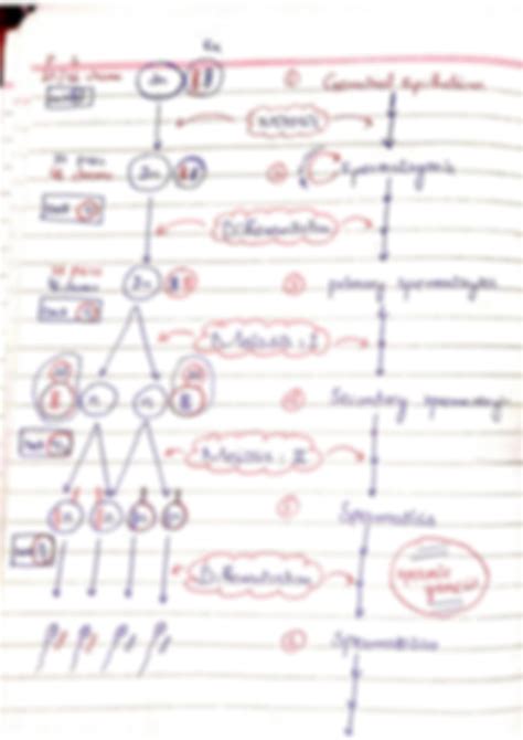 Solution Reproduction Grade 12 Biologyhandwritten Notes For Mdcat