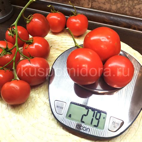 Купить семена томата сорт Каменный цветок