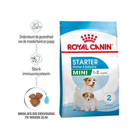 Royal Canin Mini Starter Mother & Babydog | Hunde | Medpets.de