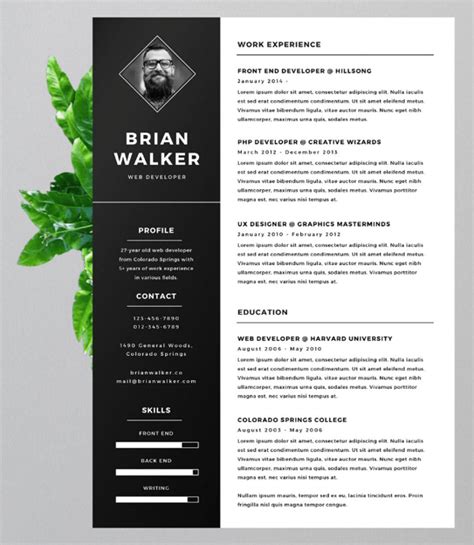 resume templates   type  professional