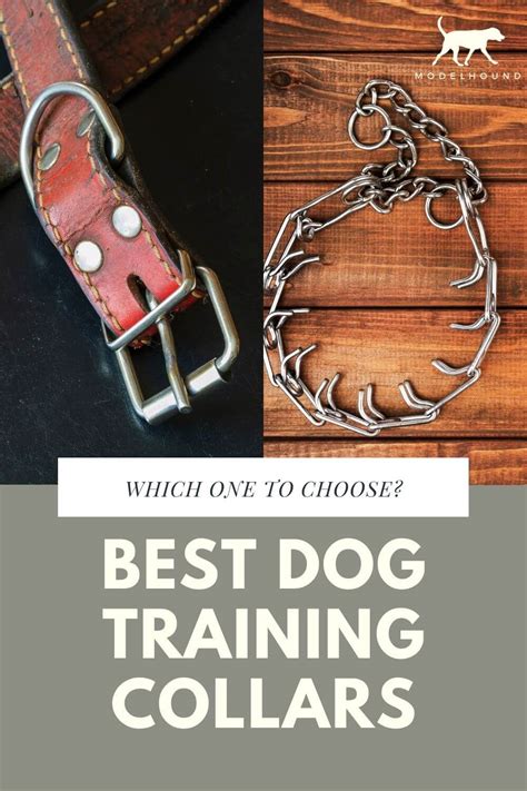 The Right Dog Training Collar for the Right Dog