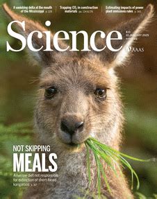 Sexually Dimorphic Dopaminergic Circuits Determine Sex Preference Science