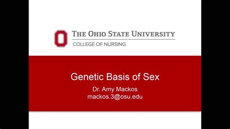 Genetic Basis Of Sex
