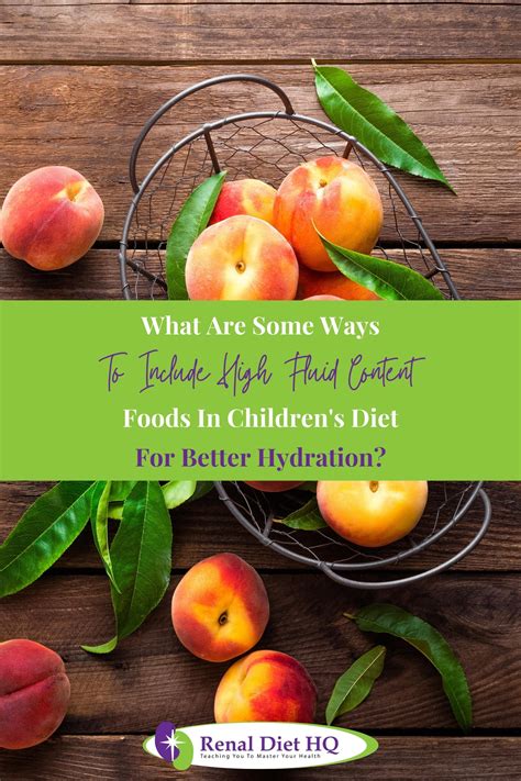 Water Rich Foods - Renal Diet HQ