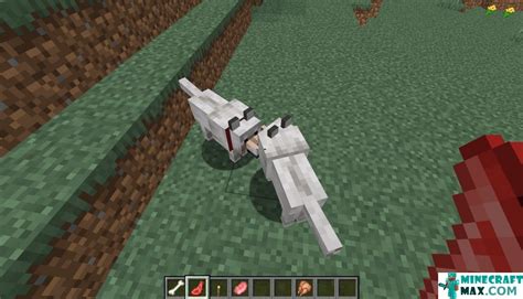 How To Make Tamed Wolf In Minecraft Minecraft