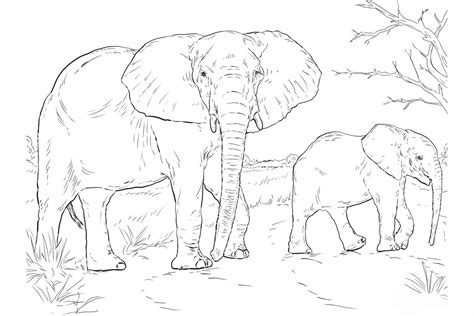 Раскраски Африка +70 фото и картинок, распечатать бесплатно.