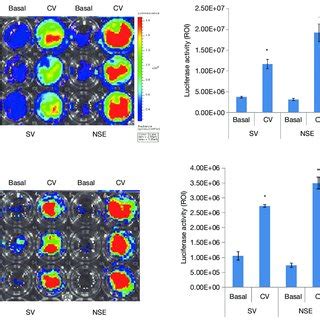 The Combination Of Gsk And Hdac Inhibitors Increases The Gene