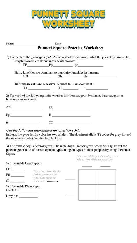 Punnett Square Worksheet Answers | Punnett squares, Punnett square activity, Practices worksheets