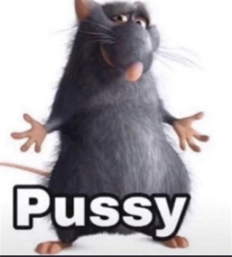 Pussy Memes Amino