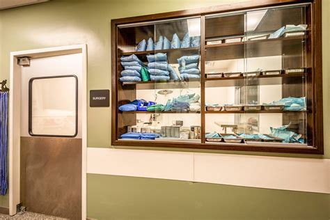 Lake shore animal hospital