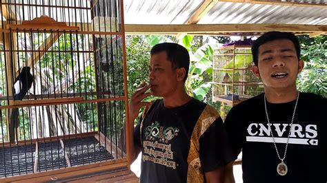 Komunitas Pecinta Burung Kec Karanganyar Menolak Hoax Youtube