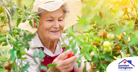 Hot Weather Safety For Older Adults Essential Tips For Staying Cool And Safe Comfort Caregivers