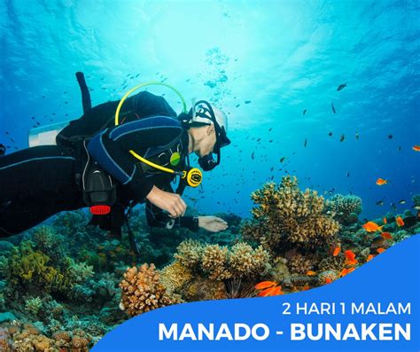 Paket Wisata Bunaken Hari Malam Terpercaya