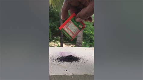 💥🤯potassium Permanganate Vs Sugar Experiment Tamil💢⁉️ Uvanesh Raj Shorts Youtube