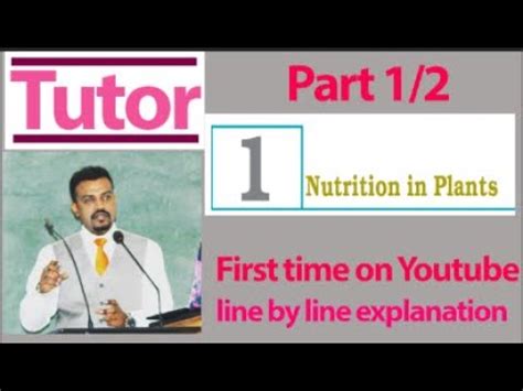 Shelford Tutorials Sex Linked Inheritance In Humans