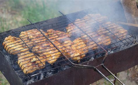 Premium Photo Fry Chicken Skewers On The Grill Picnic In Nature