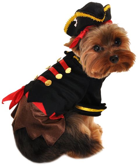 Anit Accessories Buccaneer Pirate Dog Costume, 8-Inch