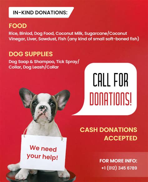 Donation Flyer Example