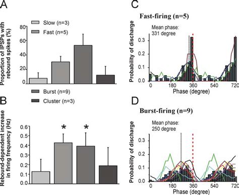 Differential Activation And Phase Locking Of Identified Ms Db Neurons