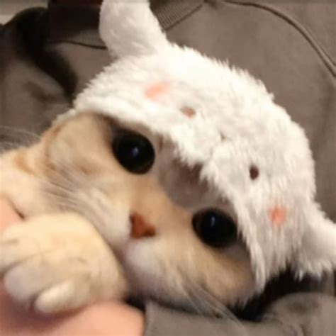 Itsss Mee Nude K Pop Tumblr Blog Tumlook