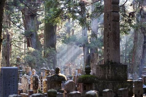 A Day at Mount Koya: The Sacred Cheapo Day Trip | Japan Cheapo