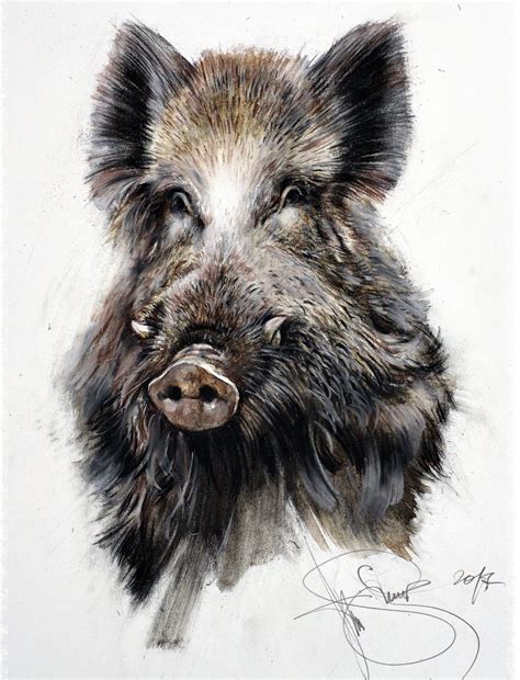 Wild Boar 141-196 Signed Authors Print Wild Boar | Etsy