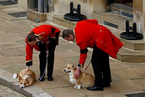 Queen Elizabeth Iis Corgis Through The Years Oregonlive