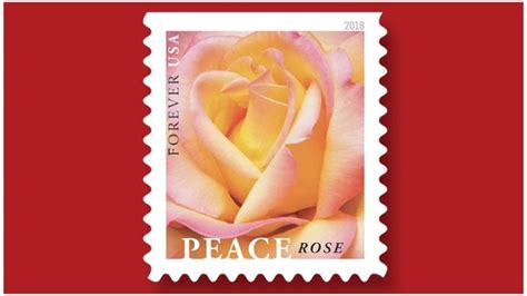 Peace Hybrid Tea Rose Forever Stamp