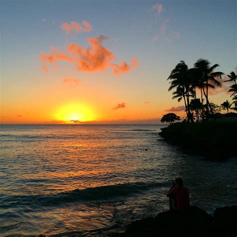 The Dark Side Of Anonib Hawaii: A Must-Read Before You Go Image 7