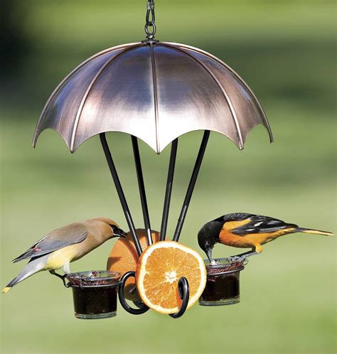 Oriole Jelly Bird Feeders