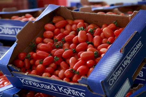 FRUITLINE Import & Export Chania Greece | Libertyprim