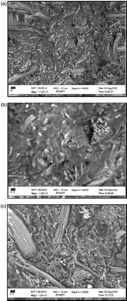 Tensile Fracture Surface Of A Wt Loaded Efb In Efb Pp