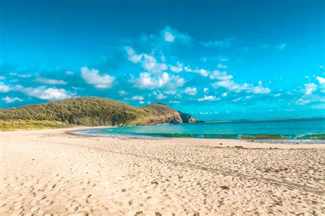 Booti Booti National Park Walks - NSW - 24 Hours Layover