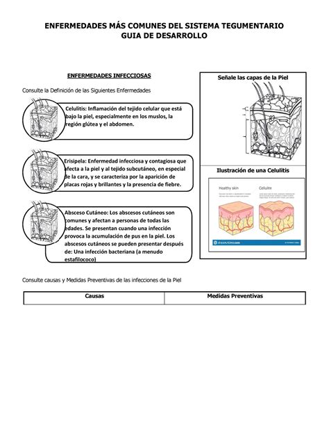 Patologias Mas Comunes Del Sistema Tegumentario Guia De Desarrollo