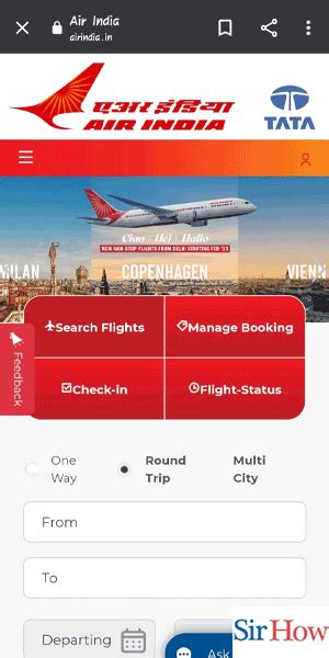 Air India Flight Status