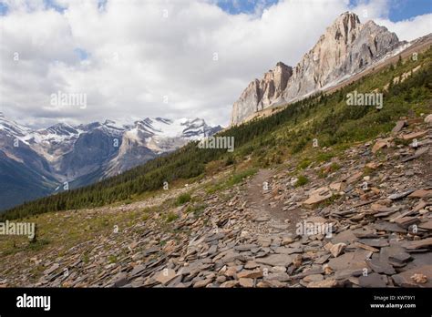 Burgess Shale Canada Fotos Und Bildmaterial In Hoher Auflösung Alamy