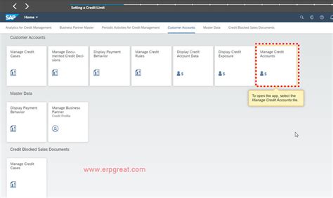 Setup Credit Limit Of Customer Sap Fiori