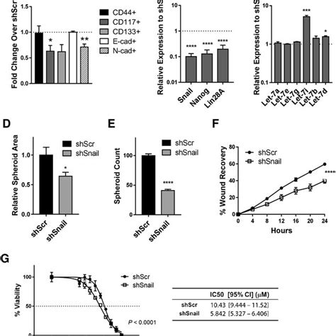 A Schematic Representations Of The Mir Promoter Region The