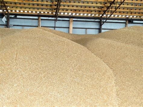 Самозігрівання та злежування зерна