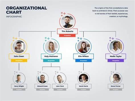 Infographic Design Organization Chart Template For Performance