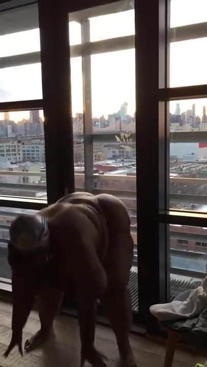 Big Black Ssbw Granny Big Ass Ass Porn Xhamster