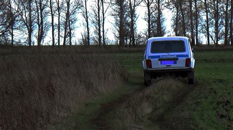 К ЧЕМУ ПРИВОДИТ ПИЛКА ДРОВ! - YouTube