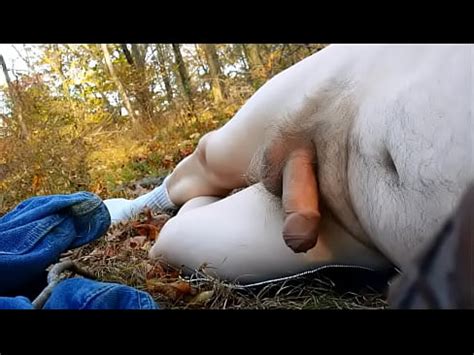 Pajeandose En El Bosque Desnudo Al Aire Libre Xvideos