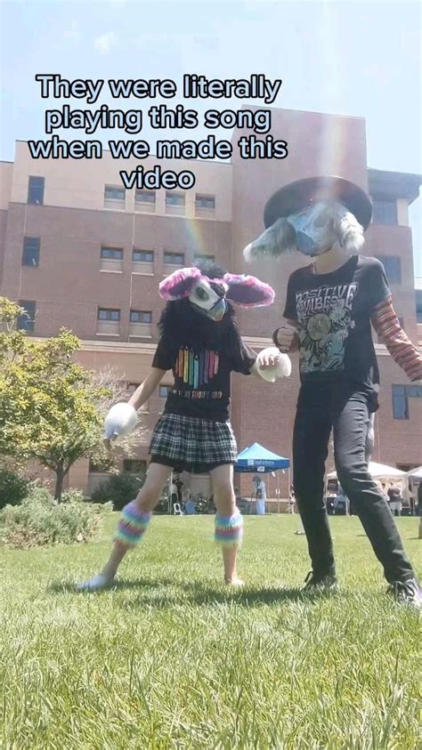 GAY FROGS Vines Funny Videos Furry Videos Funny Cosplay