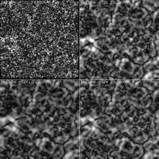 Comparison between plasma, LCT, FLCT and CST horizontal velocity module ...
